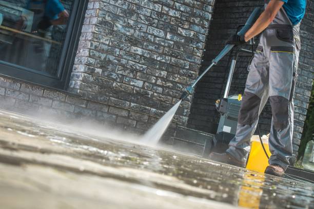 Best Gutter Cleaning  in Ocoee, FL
