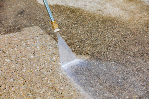 Best Soft Washing  in Ocoee, FL